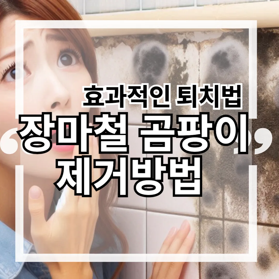 장마철 곰팡이 제거방법 : 효과적인 퇴치법