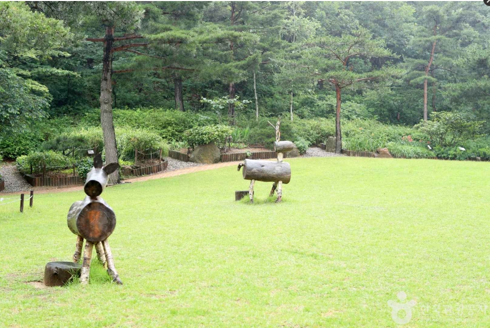 강릉 솔향 수목원04