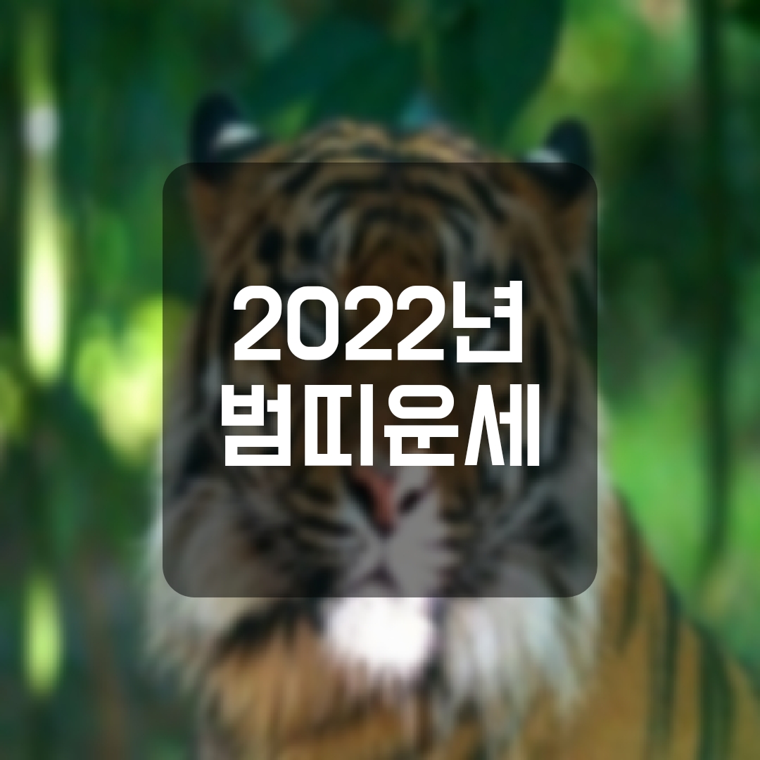 호랑이띠운세