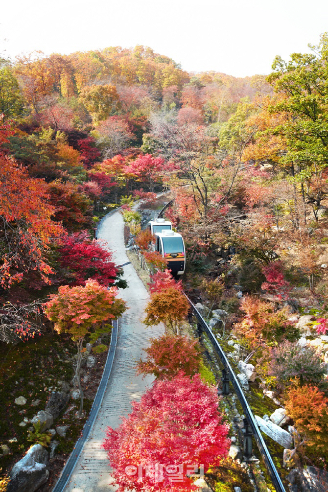 화담숲 예약 모노레일 단풍시즌