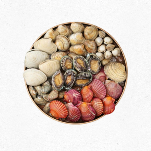 동죽 조개를 담은 바구니