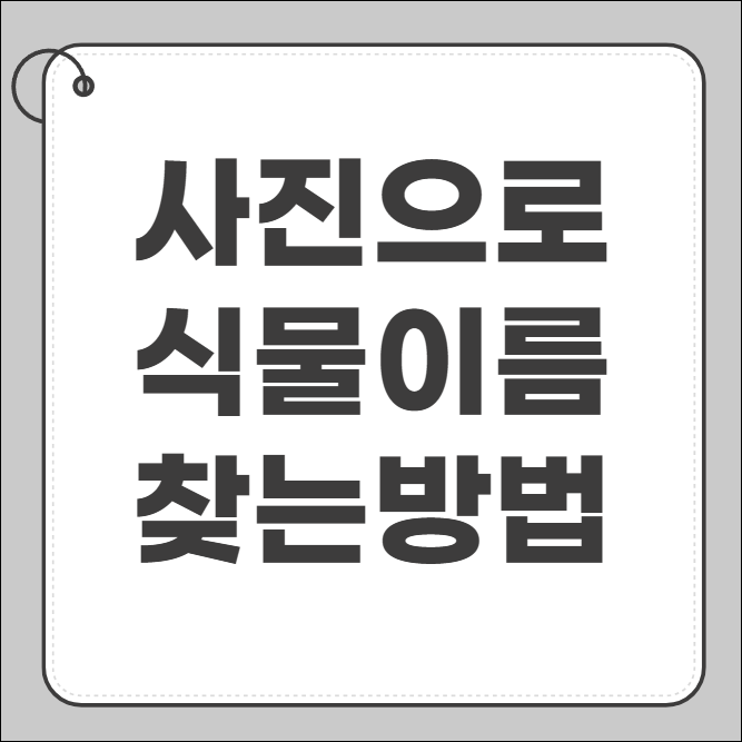 사진으로 식물이름찾기