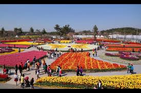 안면도꽃박람회