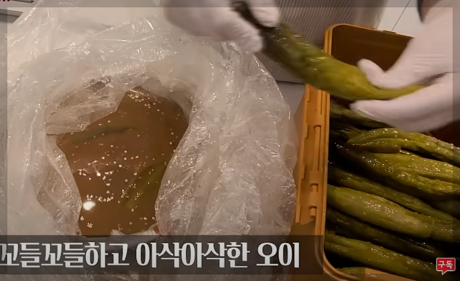 오이지 담그는법 비율 및 오이 장아찌 아삭하게담는법 
