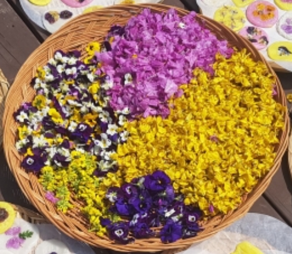 한국의 떡 종류 화전-꽃잎들