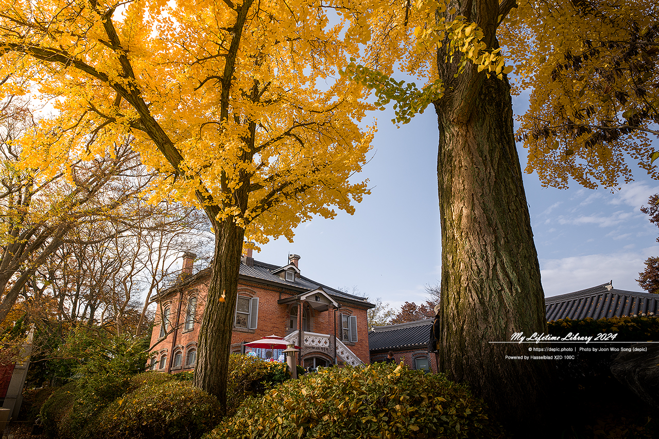 아산 공세리성당 가을 은행 성당 가톨릭