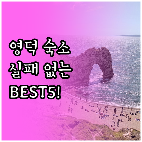 영덕 여행 숙소 예약 가이드 베스트 ..
