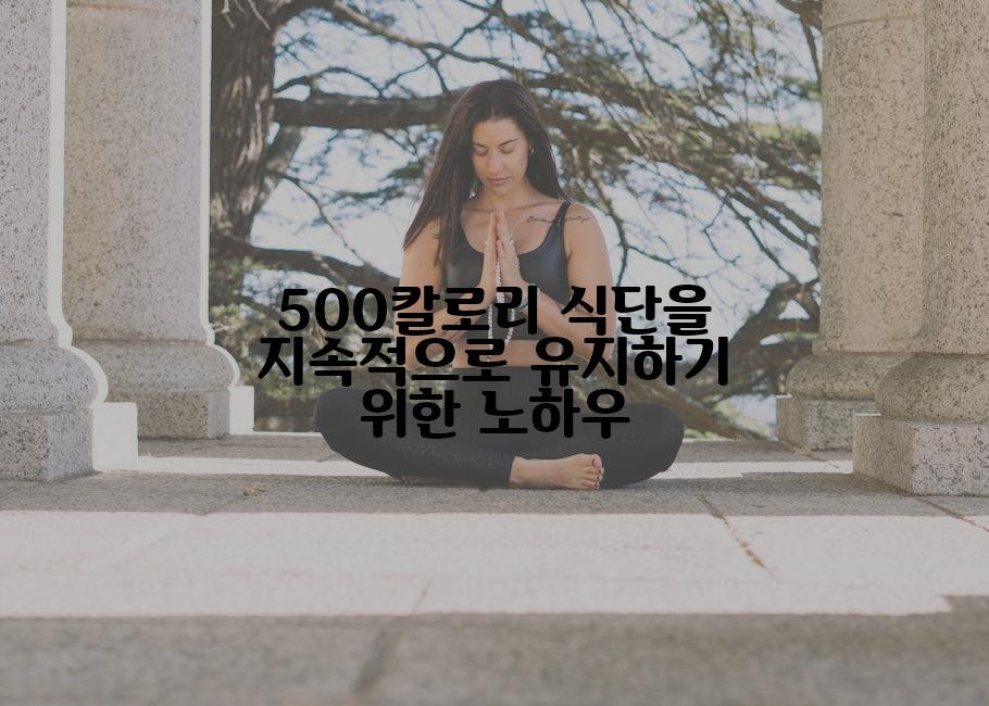 500칼로리 식단을 지속적으로 유지하기 위한 노하우