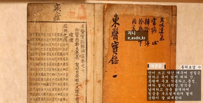 야관문 효능 7가지와 부작용 총정리