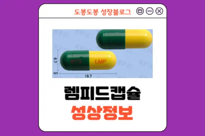 렘피드캡슐 성상 정보 이미지