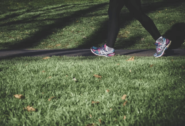 심장 건강에 좋은 습관 7가지: 심혈관 질환 예방을 위한 생활 가이드