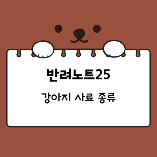 강아지 사료 종류