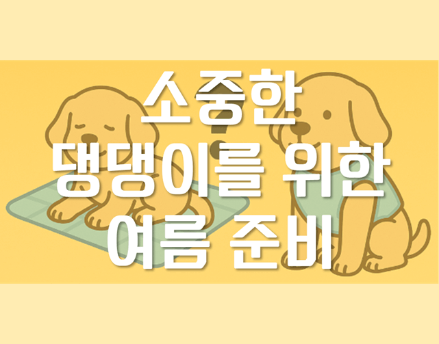 「쿨 매트 vs 쿨 조끼」 올여름 우리 댕댕이를 위한 쿨링템은?