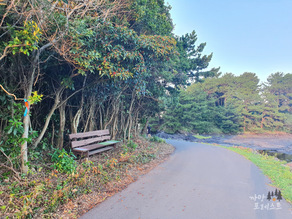 제주 오조포구 산책로