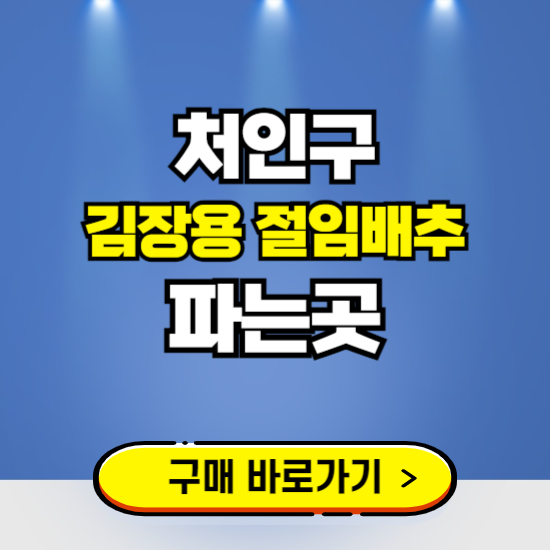처인구 절임배추 사전예약 구입하는곳 ❘ 김장배추 파는곳 가격보기