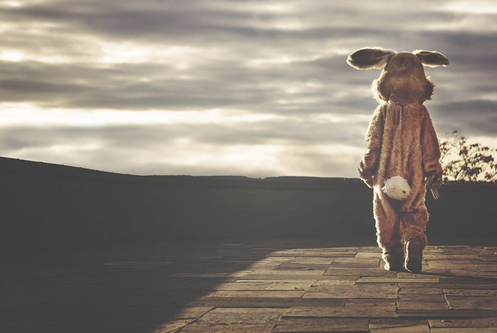 2026년 1월 토끼띠 운세 총정리