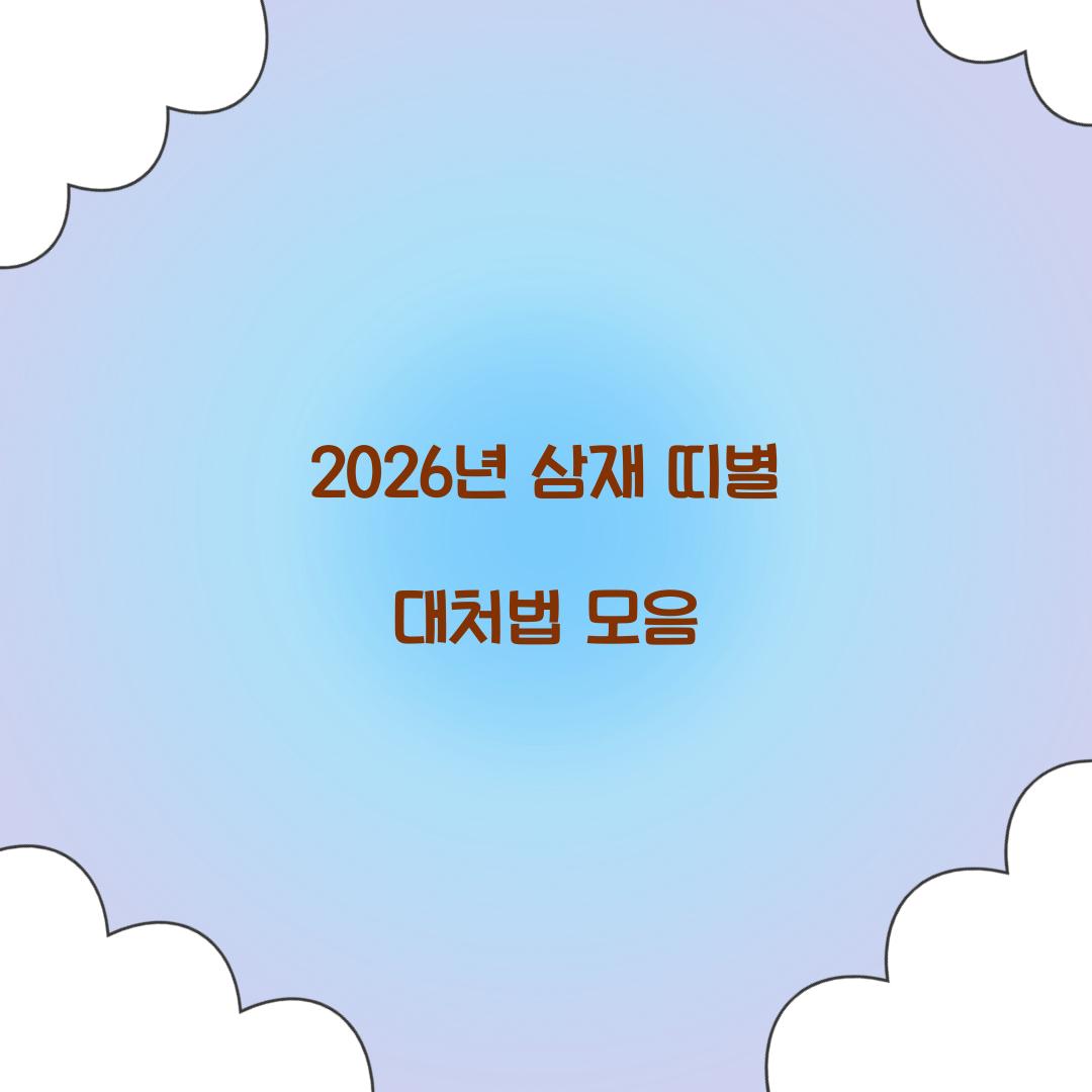 2026년 삼재