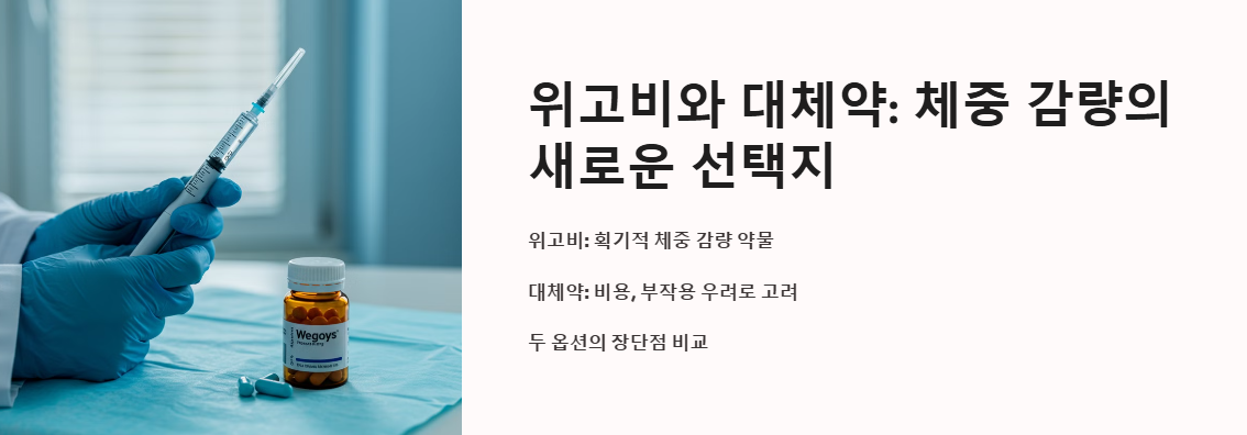 위고비와 대체약에 대한 서론 설명
