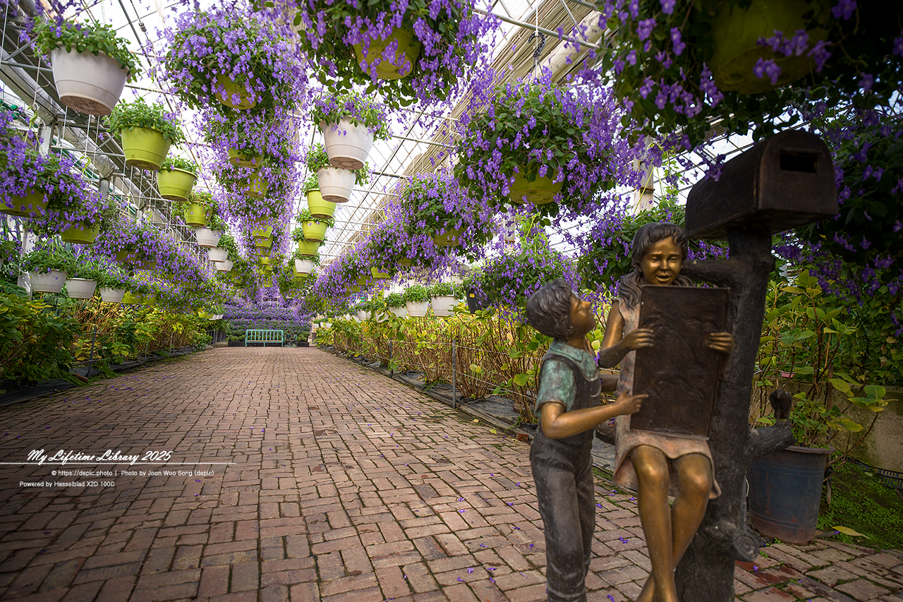 식물원 아산 세계꽃식물원 온실 꽃