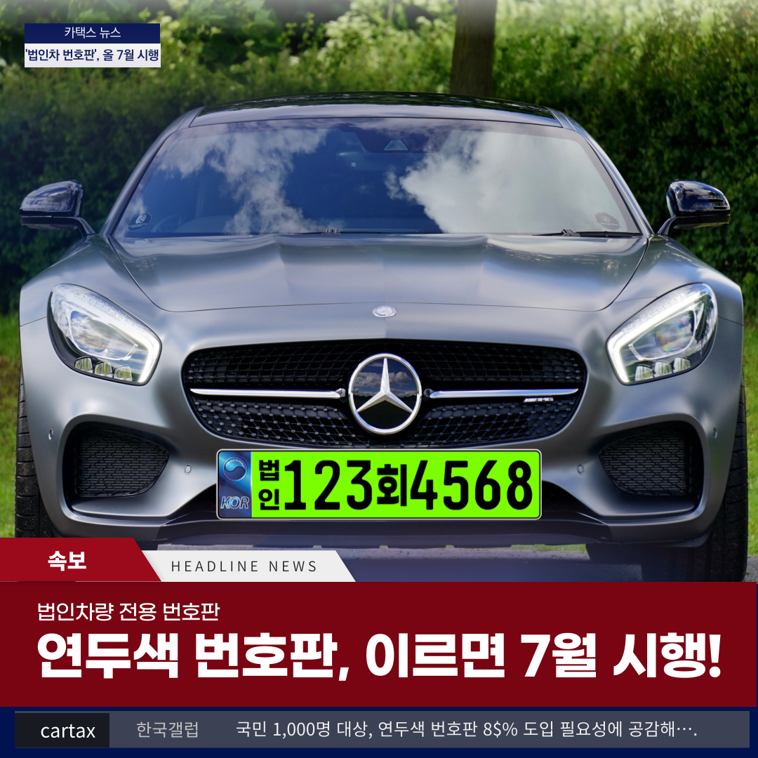 연두색번호판제도