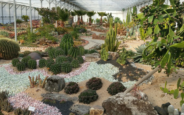 덕평 공룡수목원