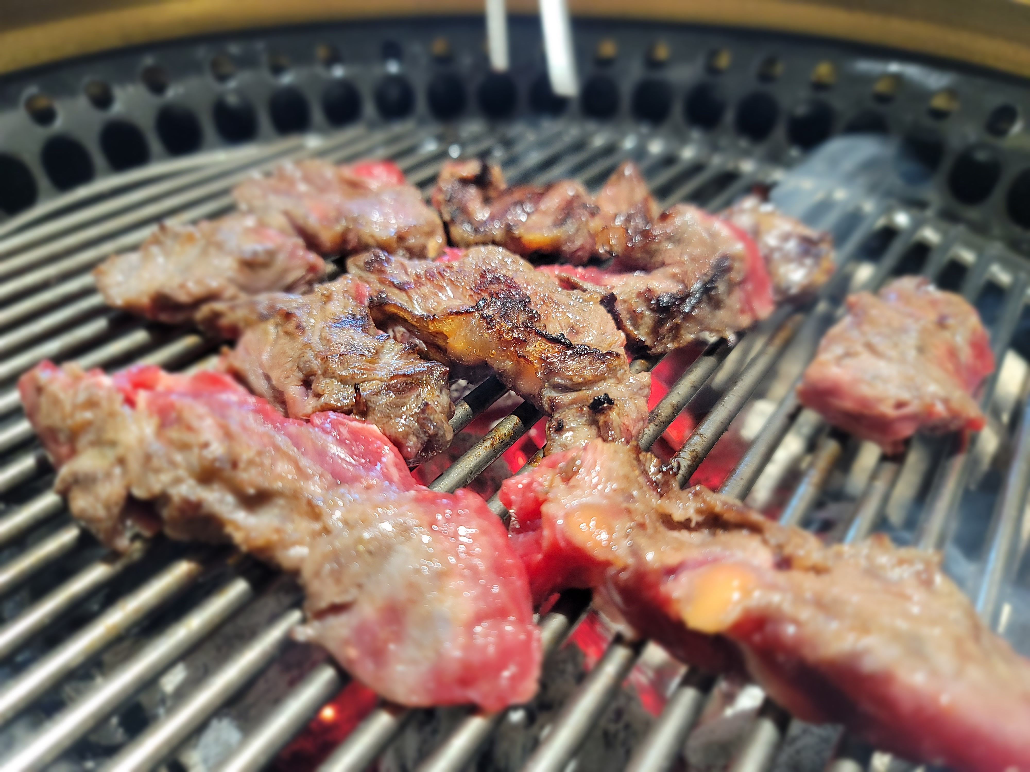 곰바위 제비추리