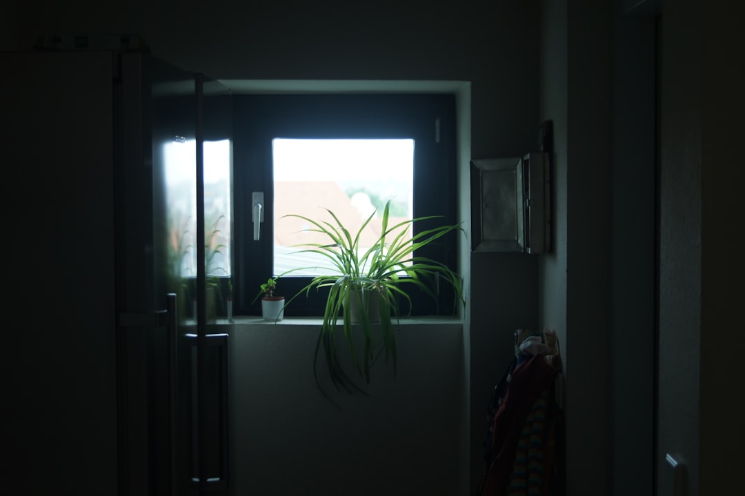 Access