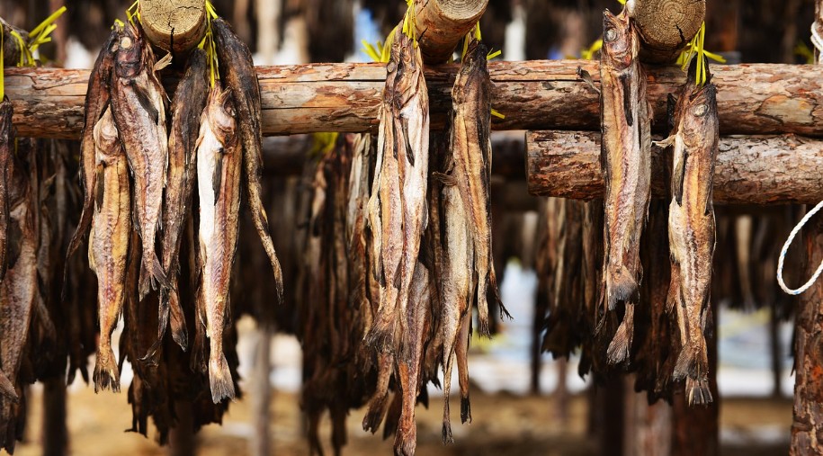 나무에 묶어서 말리고 있는 황태이미지