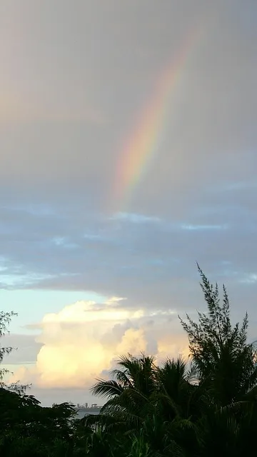 괌과 사이판 여행 비교 경비 관광지 날씨 특징 정리_8