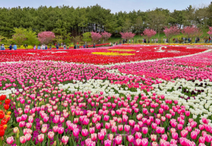 5월에 방문하는 축제 BEST 7