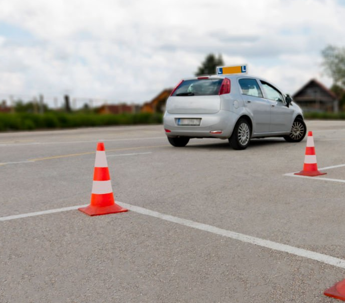 운전면허 주행시험 예시 사진