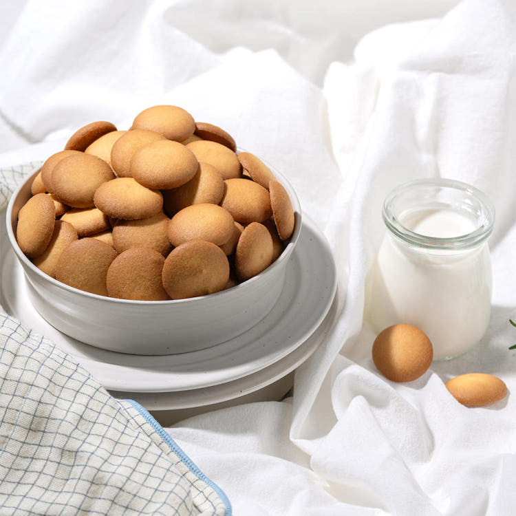 생방송투데이 제주 달걀 공장