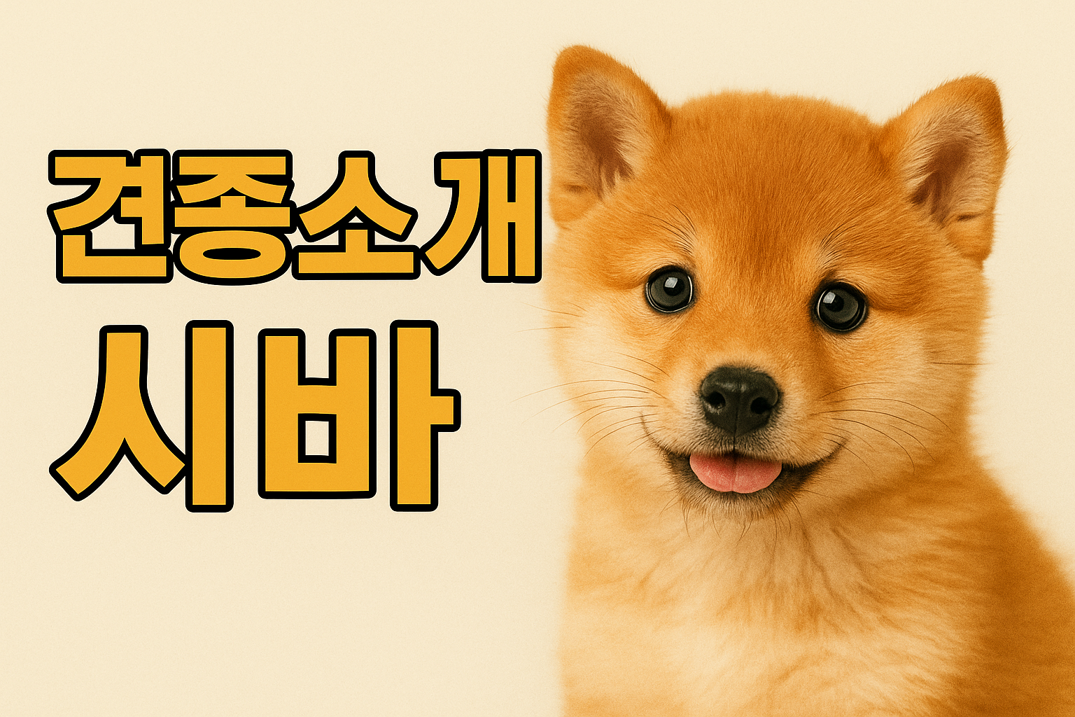 견종소개 시바 이미지