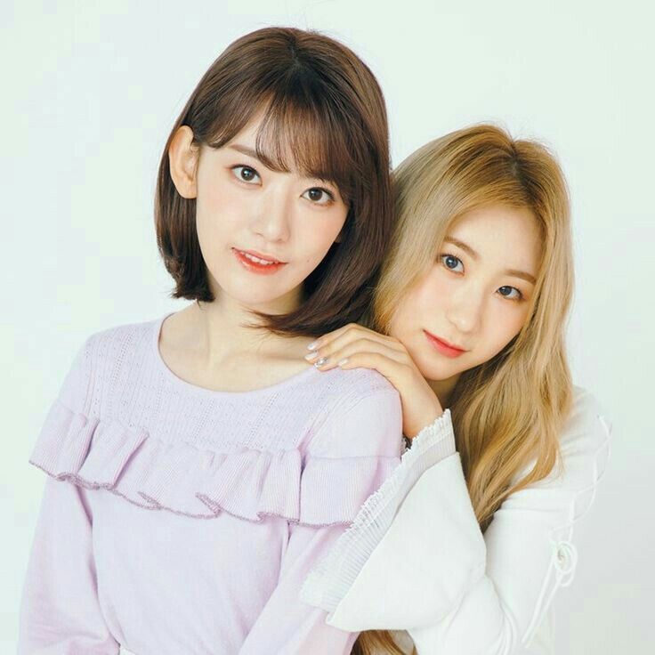 아이즈원 프로듀스48 사진 모음 아이즈원 프로듀스48 사진 모음