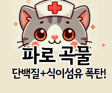 파로 곡물, 왜 인기일까? 건강 효능과 다이어트 식단 TIP