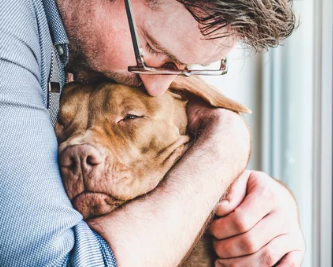 아픈 강아지 사진/출처:어도비스톡