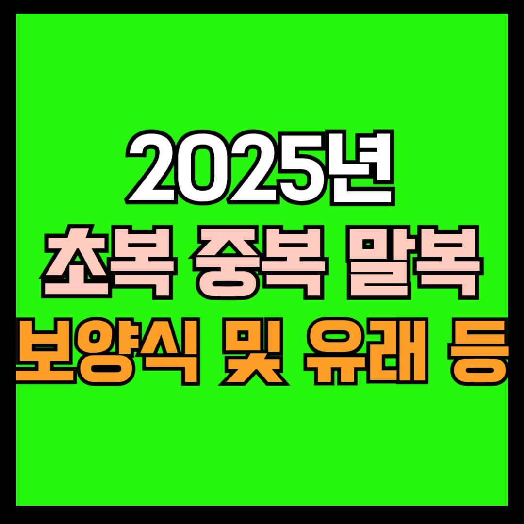 2025년 초복·중복·말복, 삼복에 대한 모든 것