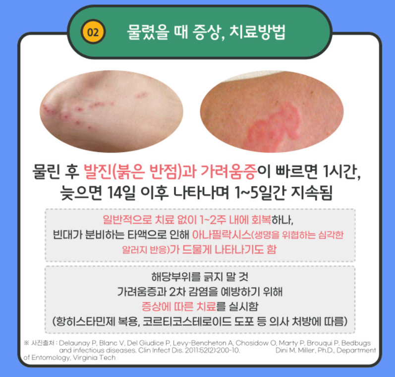 ktx 빈대