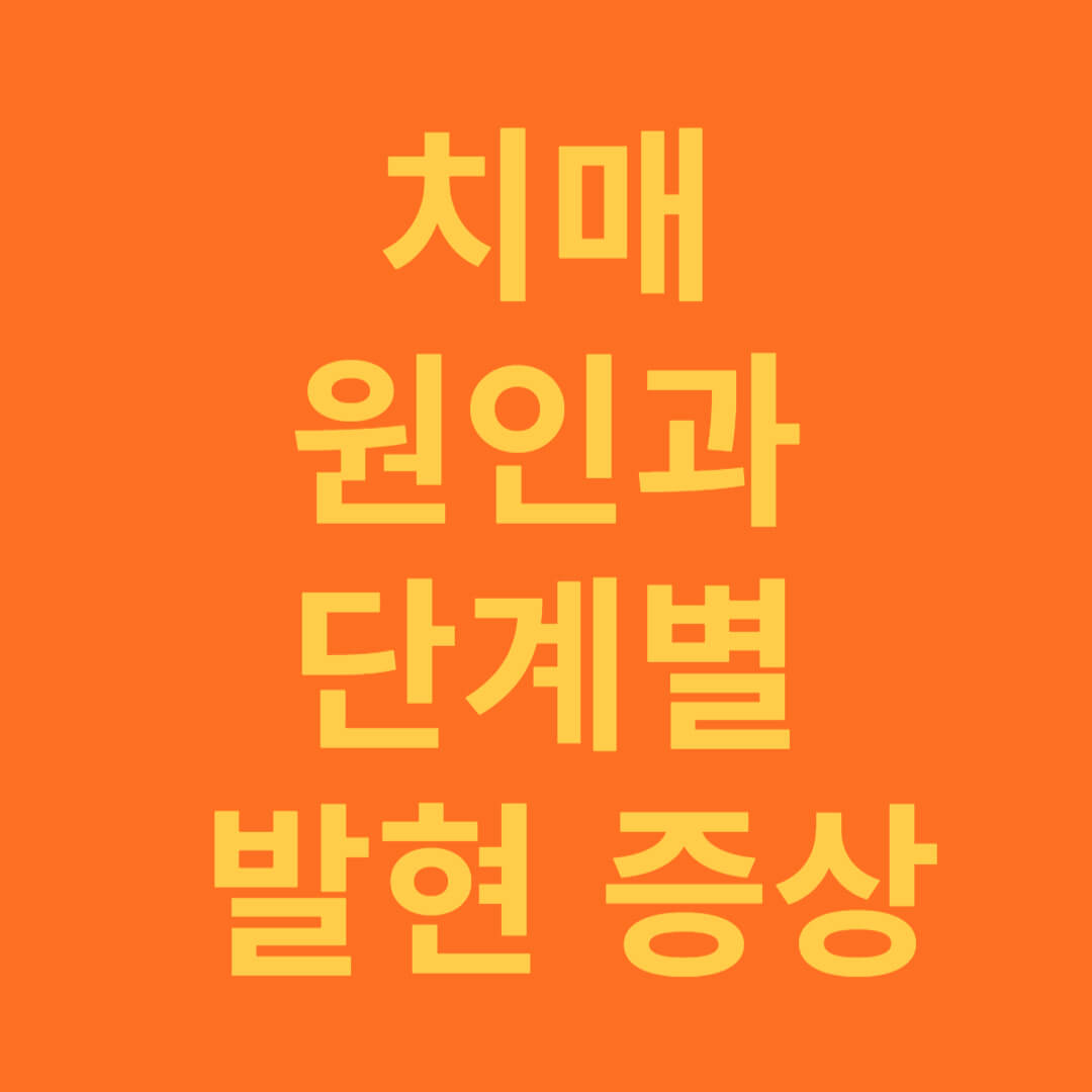 치매의 원인과 단계별 증상 수준