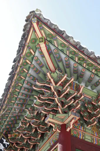 사래가 잘 걸리는 이유 사래 걸렸을때 대처법_6