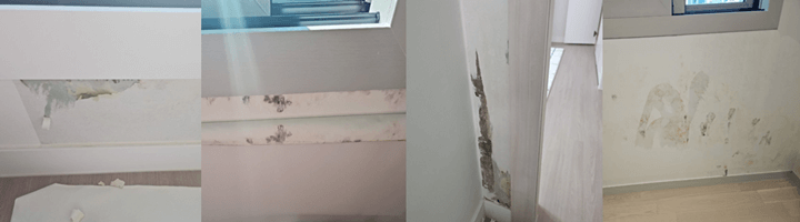 결로에 의한 곰팡이 발생