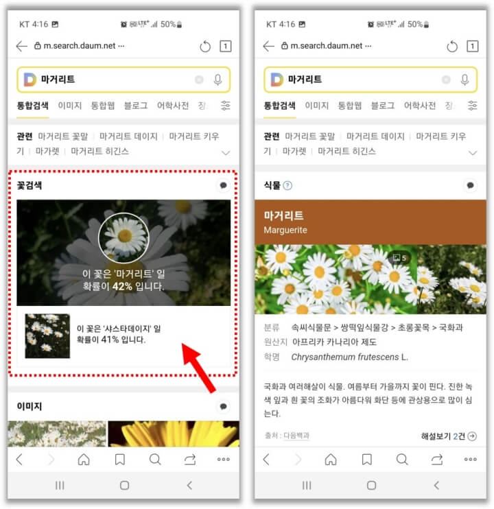 다음-검색-결과
