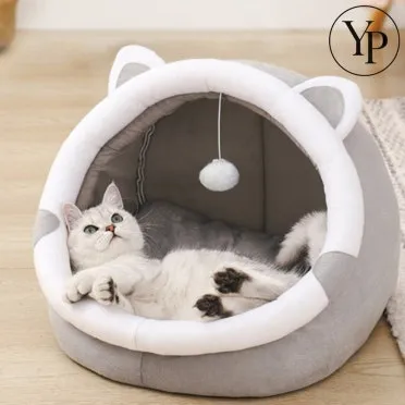 &amp;quot;고양이