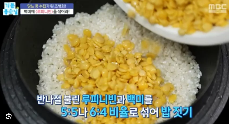 루피니빈 효능 7가지 당뇨콩 부작용 가격 먹는법 밥 삶기 요리