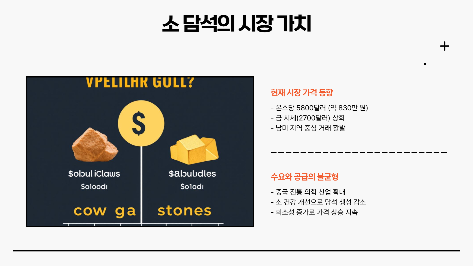 소 담석이 금보다 비싸다고?