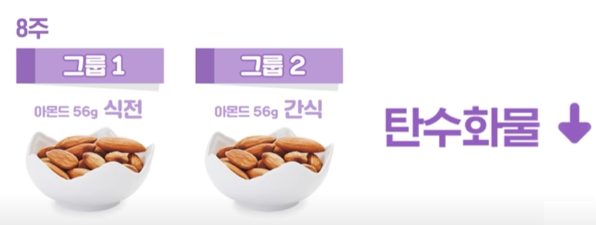 8주후 1,2 그룹 탄수화물 감소