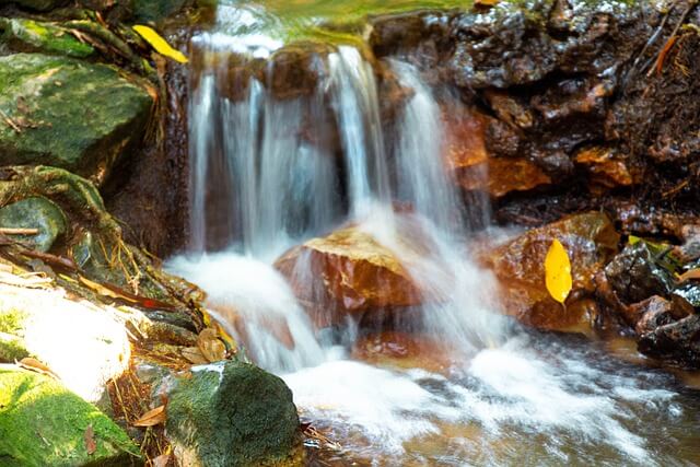 모르는 사람,사람과동물,사람꿈해몽 길몽?흉몽?어떤의미?