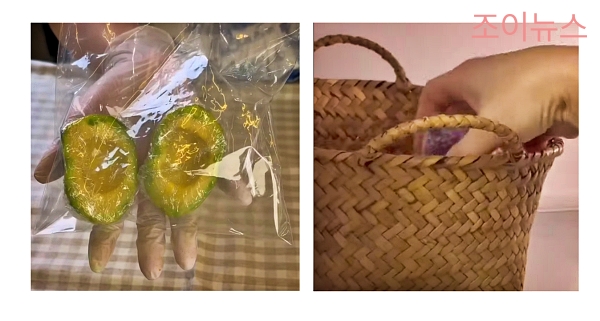 아보카도 올바른 보관법
