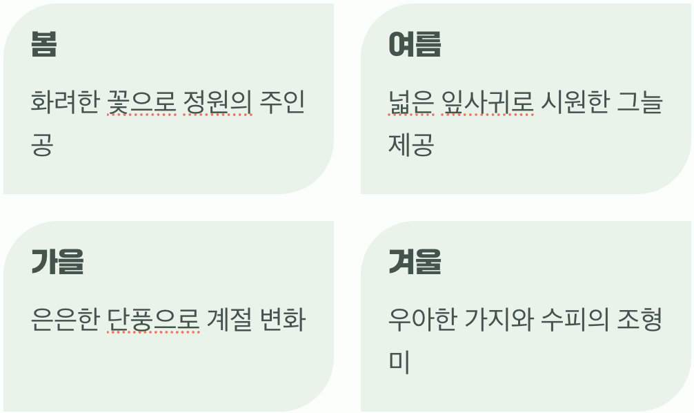사계절 내내 즐거운 풍경