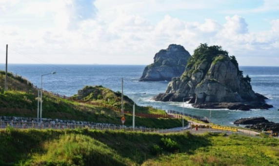 전국수선화명소